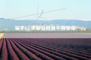 骗子qq(大家觉得要不要举报)