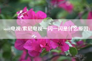 sony电视(索尼电视一闪一闪是什么原因)