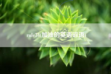 rule34(加油的英语谚语)