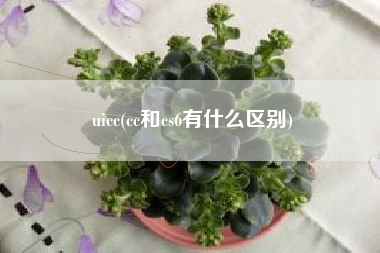 uicc(cc和cs6有什么区别)