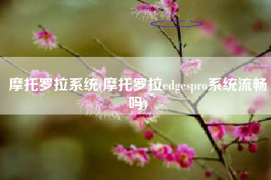 摩托罗拉系统(摩托罗拉edgespro系统流畅吗)