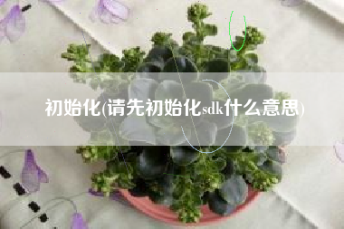 初始化(请先初始化sdk什么意思)