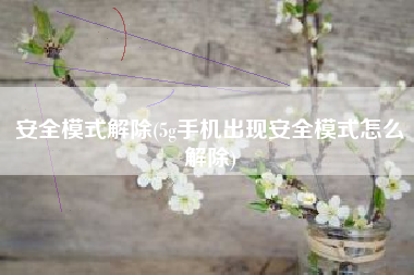 安全模式解除(5g手机出现安全模式怎么解除)