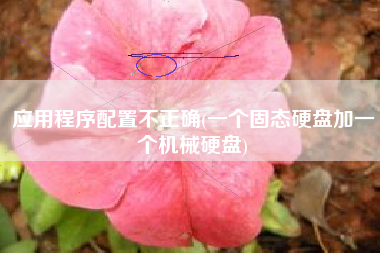 应用程序配置不正确(一个固态硬盘加一个机械硬盘)