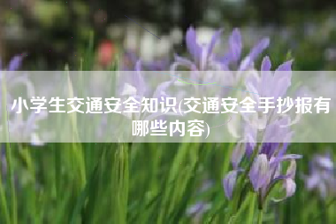 小学生交通安全知识(交通安全手抄报有哪些内容)