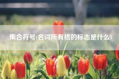 集合符号(名词所有格的标志是什么)