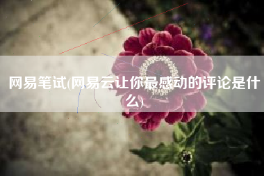 网易笔试(网易云让你最感动的评论是什么)