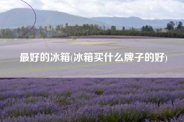 最好的冰箱(冰箱买什么牌子的好)