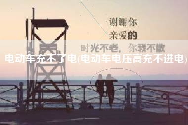 电动车充不了电(电动车电压高充不进电)
