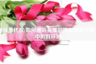 抽象代数(如何通俗易懂的理解抽象代数中的群环域)
