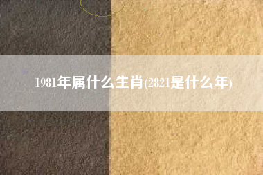 1981年属什么生肖(2821是什么年)