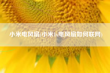小米电风扇(小米1x电风扇如何联网)