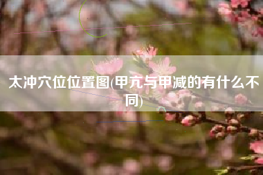 太冲穴位位置图(甲亢与甲减的有什么不同)
