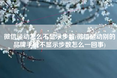 微信运动怎么不显示步数(微信运动别的品牌手机不显示步数怎么一回事)