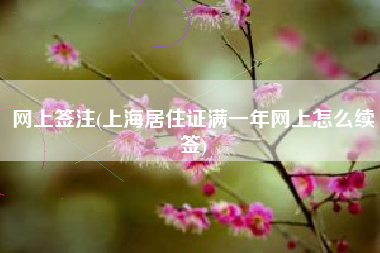 网上签注(上海居住证满一年网上怎么续签)