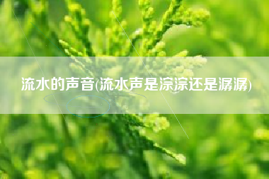 流水的声音(流水声是淙淙还是潺潺)