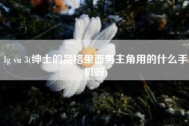 lg vu 3(绅士的品格里面男主角用的什么手机呀)