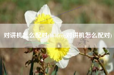对讲机怎么配对(baofeng对讲机怎么配对)