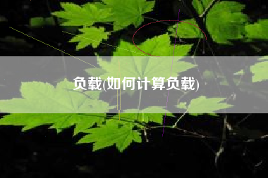负载(如何计算负载)