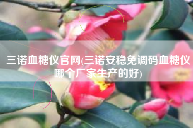 三诺血糖仪官网(三诺安稳免调码血糖仪哪个厂家生产的好)