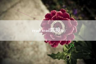 read(read后接to)