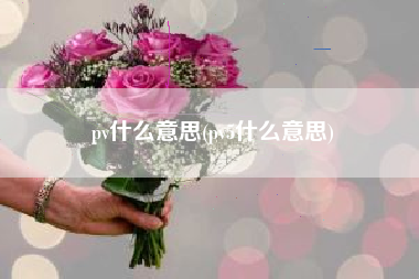pv什么意思(pv5什么意思)