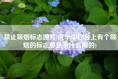 禁止吸烟标志图片(汽车中控台上有个吸烟的标志那是干什么用的)