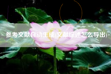 参考文献自动生成(文献综述怎么导出)