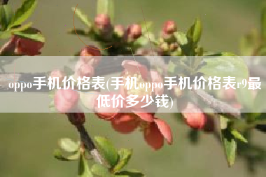 oppo手机价格表(手机oppo手机价格表r9最低价多少钱)