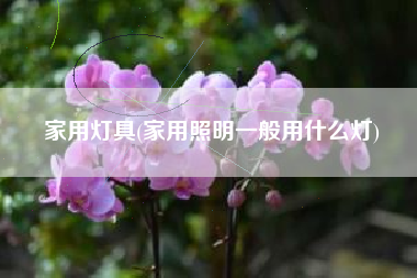 家用灯具(家用照明一般用什么灯)