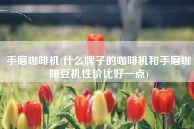 手磨咖啡机(什么牌子的咖啡机和手磨咖啡豆机性价比好一点)