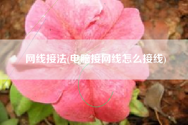网线接法(电脑接网线怎么接线)