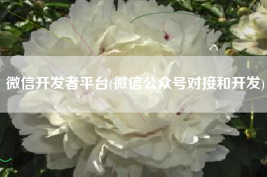 微信开发者平台(微信公众号对接和开发)