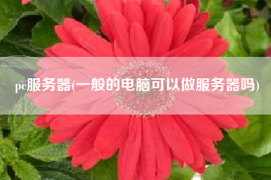 pc服务器(一般的电脑可以做服务器吗)