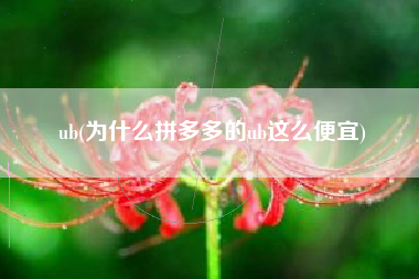 ub(为什么拼多多的ub这么便宜)
