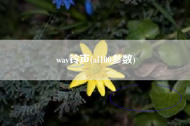 wav铃声(al100参数)