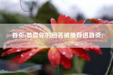 首页(恭喜你的回答被推荐进首页)