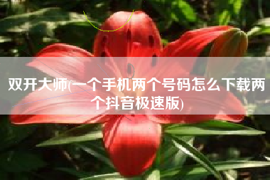 双开大师(一个手机两个号码怎么下载两个抖音极速版)