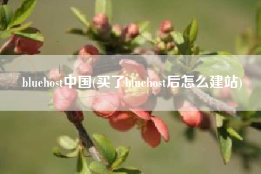 bluehost中国(买了bluehost后怎么建站)