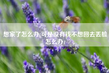 想家了怎么办(可是没有钱不想回去丢脸怎么办)