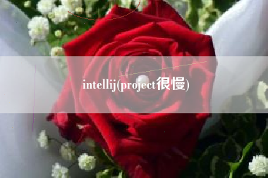 intellij(project很慢)