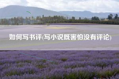 如何写书评(写小说既害怕没有评论)