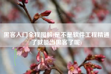 黑客入门全程图解(是不是软件工程精通了就能当黑客了呢)