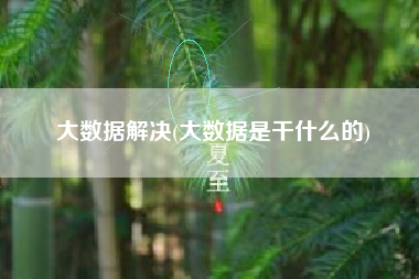 大数据解决(大数据是干什么的)