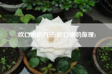 吹口哨的方法(吹口哨的原理)
