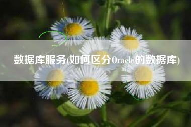 数据库服务(如何区分Oracle的数据库)