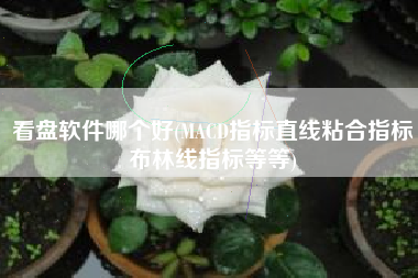 看盘软件哪个好(MACD指标直线粘合指标布林线指标等等)