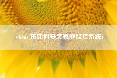 sdcms(该如何安装家庭监控系统)