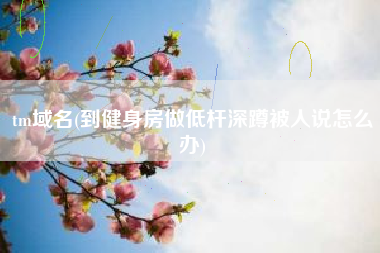 tm域名(到健身房做低杆深蹲被人说怎么办)