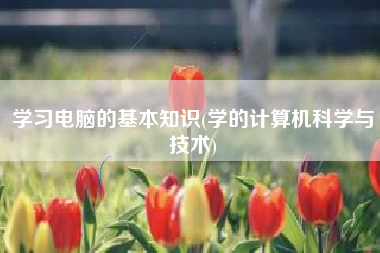 学习电脑的基本知识(学的计算机科学与技术)
